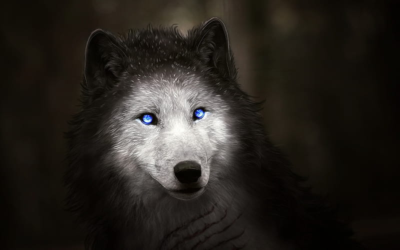 wolf, forest, dog, predators, digital art, HD wallpaper