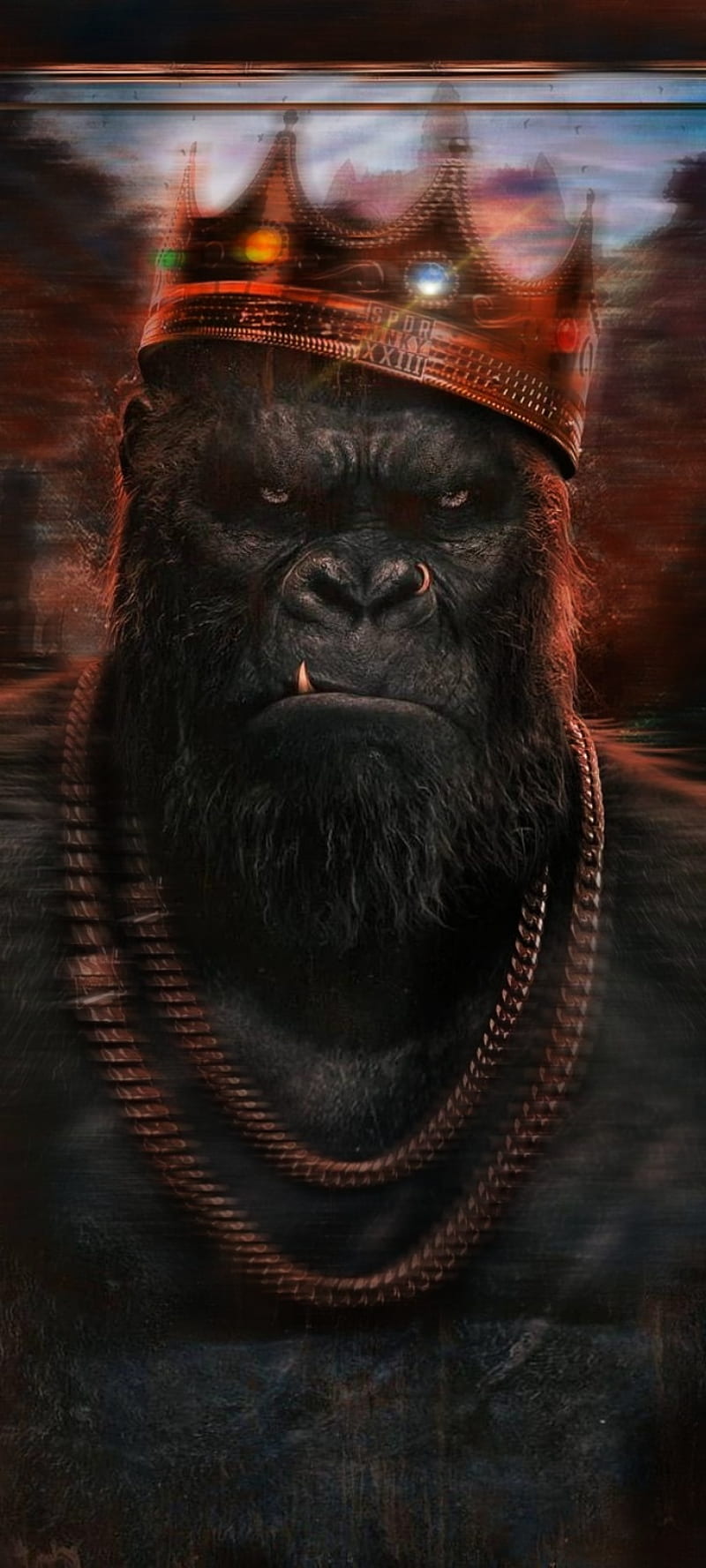 Gorilla King KoNg, terrestrial animal, primate, HD phone wallpaper