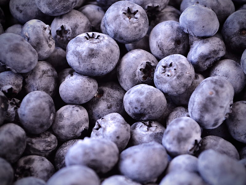 blueberries, berries, fruit, macro, HD wallpaper