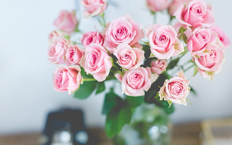 rose bouquet, pink roses, beautiful flowers, roses, HD wallpaper