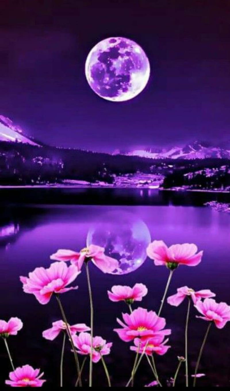 Flowers for the moon, purple, mountains, lake, landscape, night, pretty, art, HD phone wallpaper