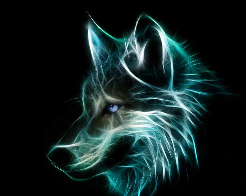 Wolf Wallpaper 3D APK for Android Download
