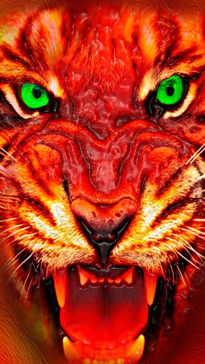 tiger, animal, eues, green, teeth, wild, HD phone wallpaper