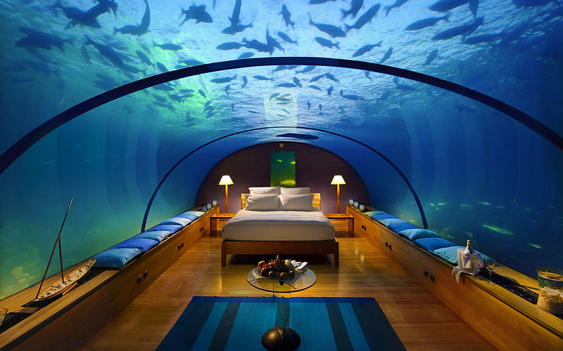 Underwater Bedroom, architecture, pretty, wonderful, stunning, fish, bedroom, bonito, sea, bed, modern, nice, blue, amazing, underwater, ocean, place, sleeping, water, dreaming, sharks, awesome, HD wallpaper