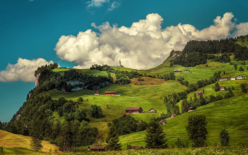 Switzerland, mountain, summer, meadow, R, HD wallpaper