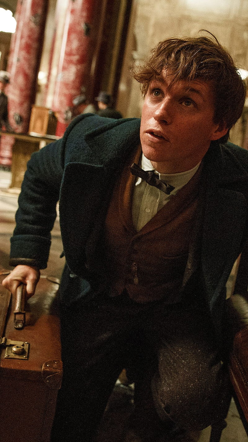Fantastic Beasts, and where to find them, movie, poster, HD phone wallpaper