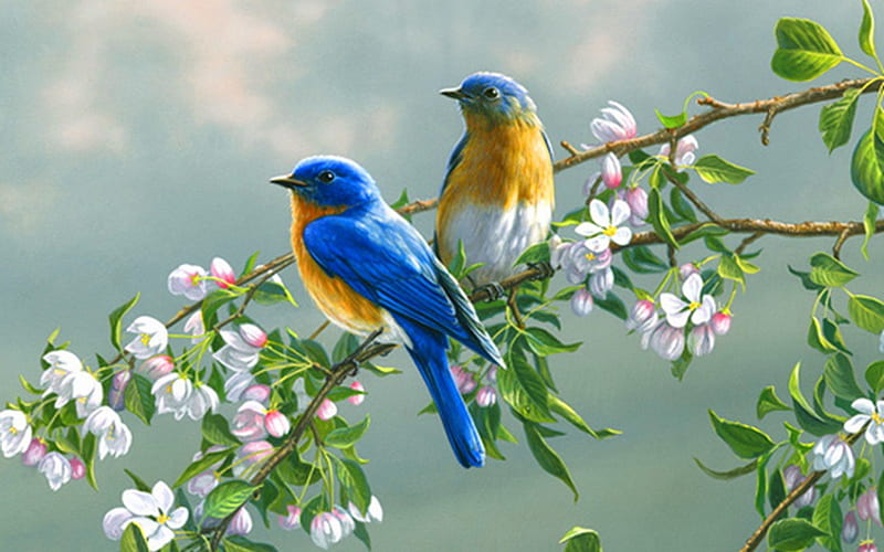 Different birds, birds, beauty, flowers, nature, HD wallpaper | Peakpx