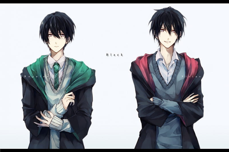Regulus and Sirius Black, male, sirius black, harry potter, grey eyes,  smile, HD wallpaper | Peakpx