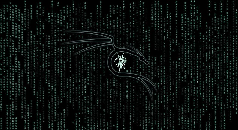 Technology, Kali Linux, HD wallpaper