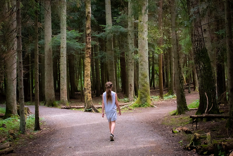 girl walking near trees, HD wallpaper