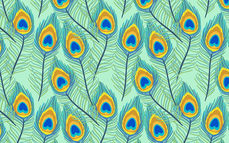 peacock feathers, macro, feathers backgrounds, background with feathers, feathers textures, blue feathers background, feathers patterns, HD wallpaper