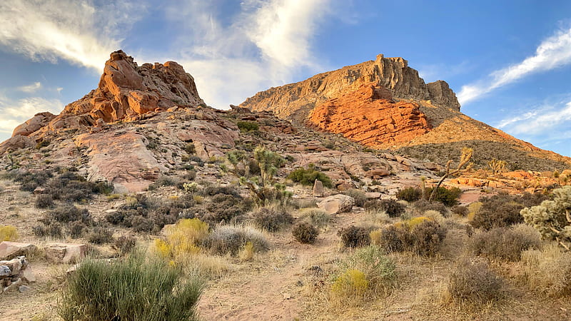 On the Colorado Plateau, plants, mountains, rocks, desert, usa, clouds, sky, HD wallpaper