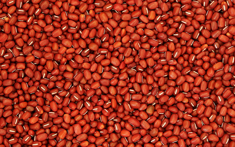 red grain texture, background with grains, red bean texture, agricultural culture, HD wallpaper