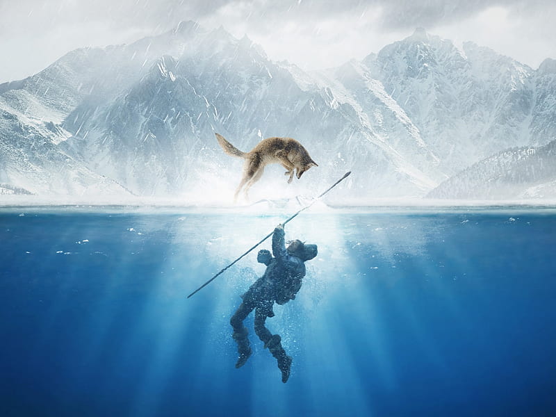 Alpha 2018, movie, fox, ocean, ice, man, animal, poster, water, white, alpha, blue, HD wallpaper