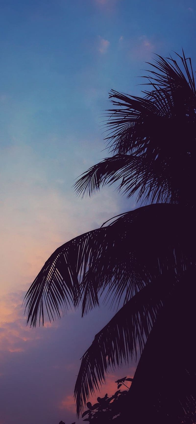 Chill vibes Chill Scenery Sky aesthetic Cool Chill HD phone wallpaper   Peakpx
