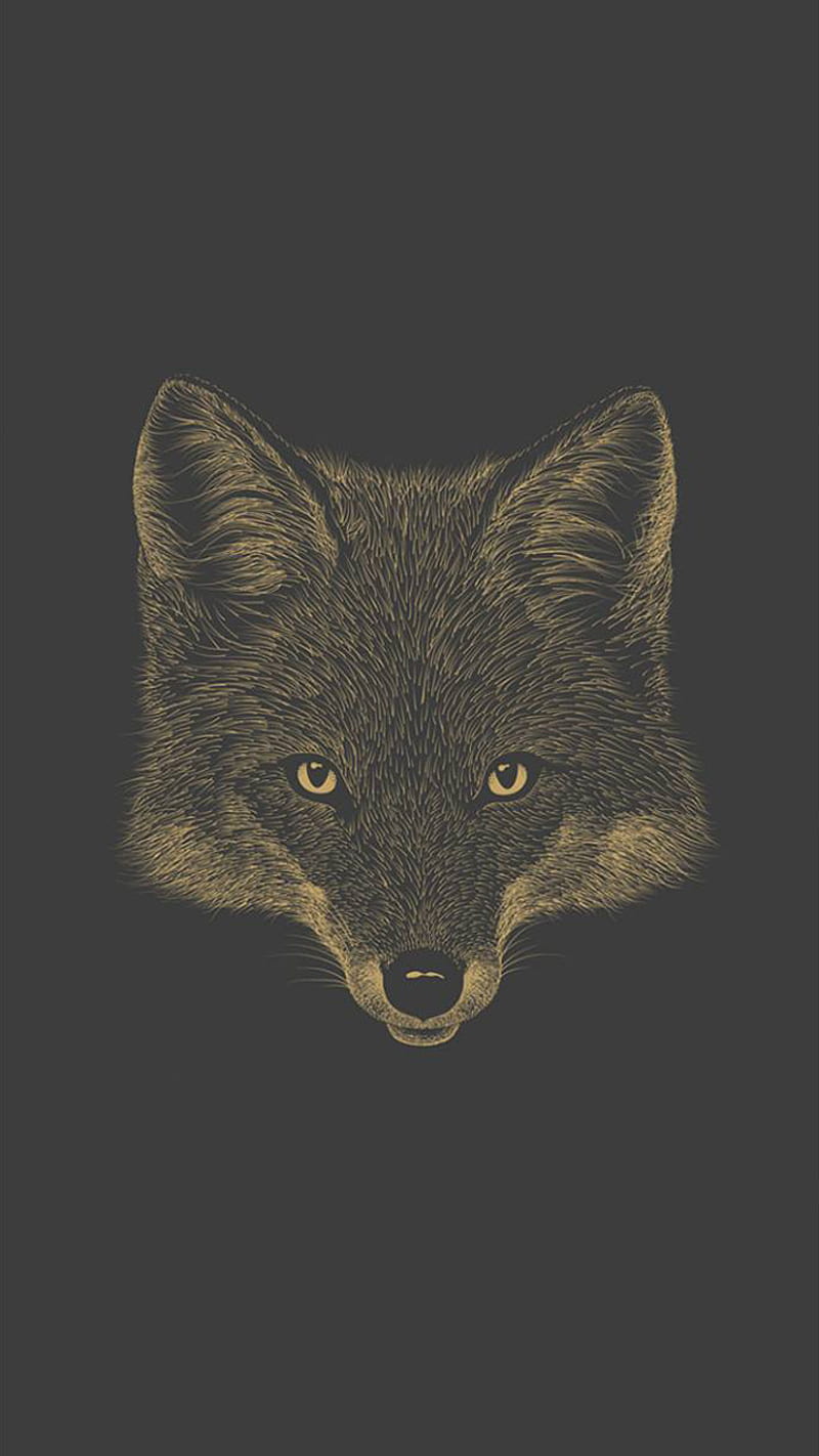 Grey Fox, animals, lobo, minimal, minimalist, minimalista, sad, simple, wolf, zorro, HD phone wallpaper
