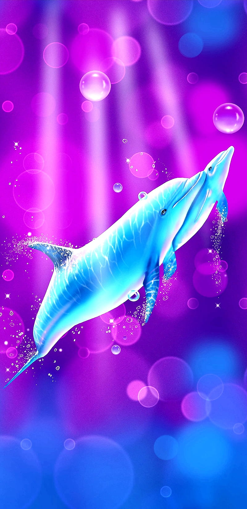 210 Dolphin HD Wallpapers and Backgrounds