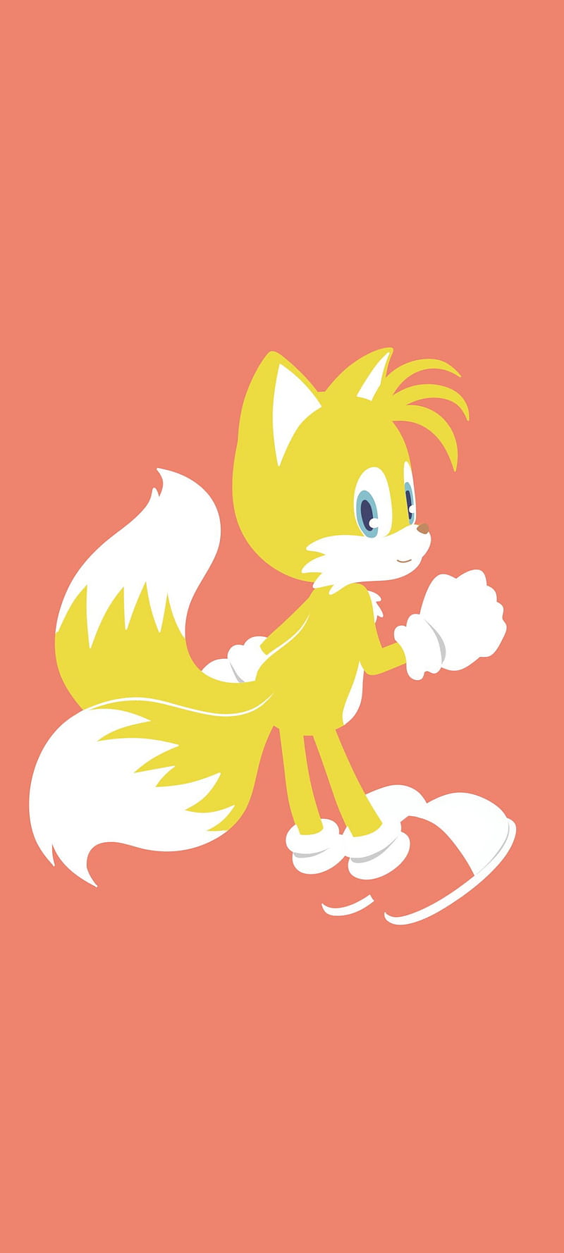 Tails The Fox, sonic the hedgehog, sonic el erizo, sonic, sonic tails, miles tails prower, tails el zorro, miles prower, HD phone wallpaper