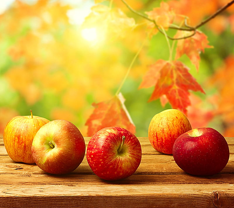 Red Apples, autumn, colours, fruits, nature, red, HD wallpaper