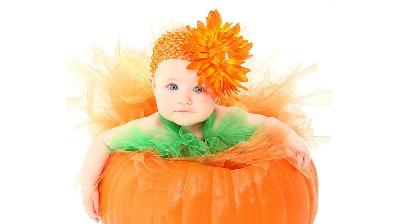 Baby Girl Wearing Orange And Green Netted Frock And Sitting In Pumpkin Cute, HD wallpaper
