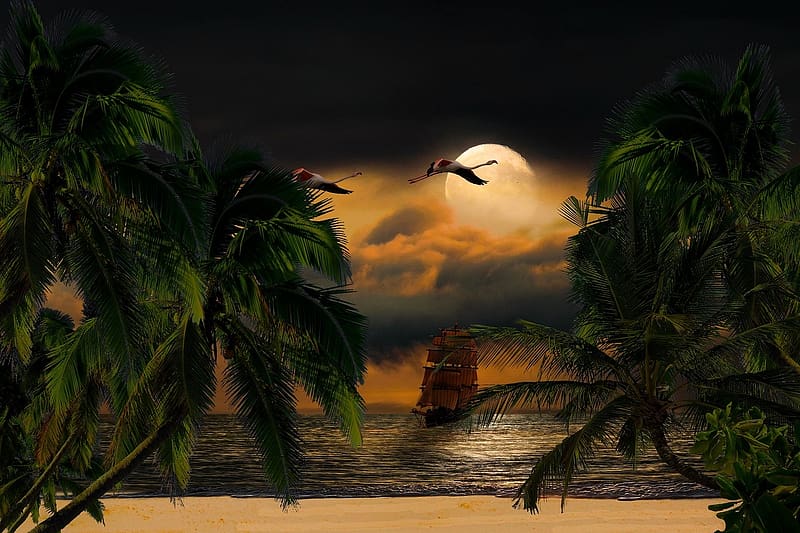 Ship at night near the shore, tajkep, vitorlas hajo, termeszet, tenger, ejszaka, strand, kaland, palmafak, flamingoo, HD wallpaper