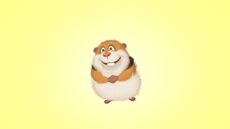 Guinea Pig Hamster, pig, cartoons, HD wallpaper