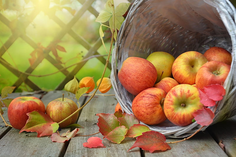 Apples, fruit, red, food, HD wallpaper