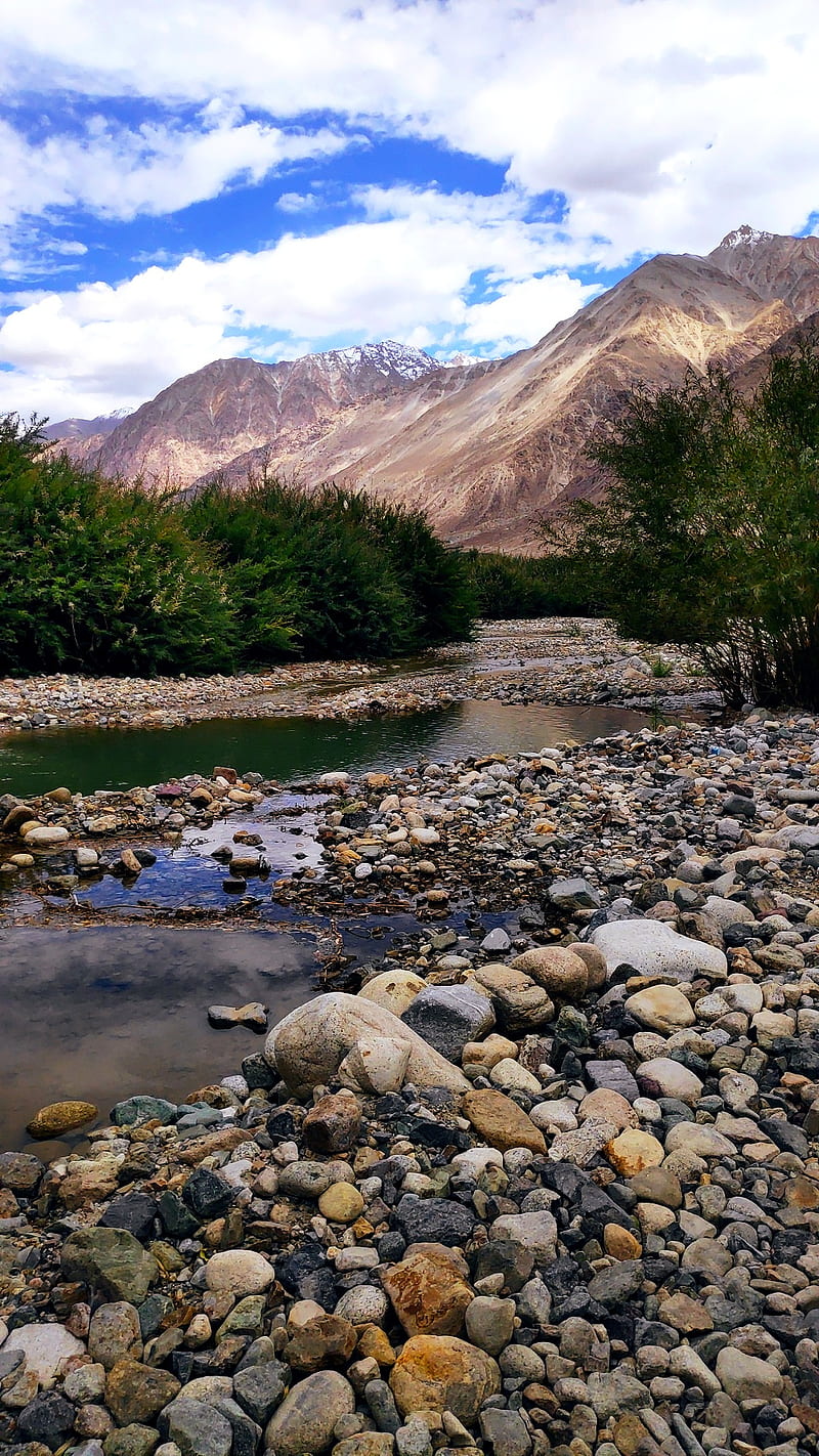Ladakh, clouds, mountain, river, stones, trees, HD phone wallpaper | Peakpx