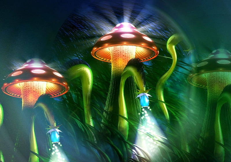 Mushrooms, red, art, fantasy, green, mushroom, game, magical, white, HD wallpaper