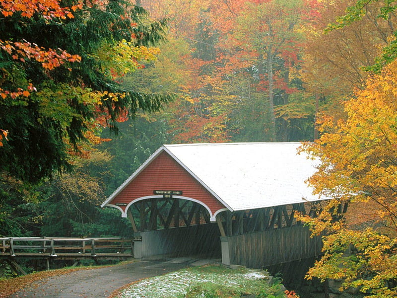 A covered bridge, road, trees, rail, bridge, HD wallpaper