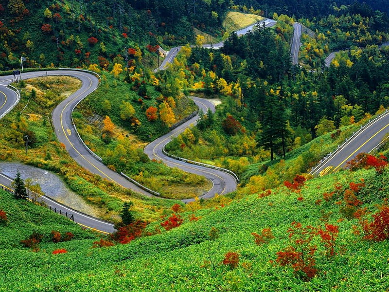 Meandering mountain road, colorful, lovely, grass, greenery, bonito, trees, mountain, nice, green, summer, slope, meandering, flowers, path, nature, road, HD wallpaper