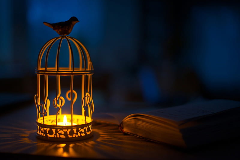 Simply Beautiful, lamp, lantern, splendor, book, lights, night, candles, HD wallpaper