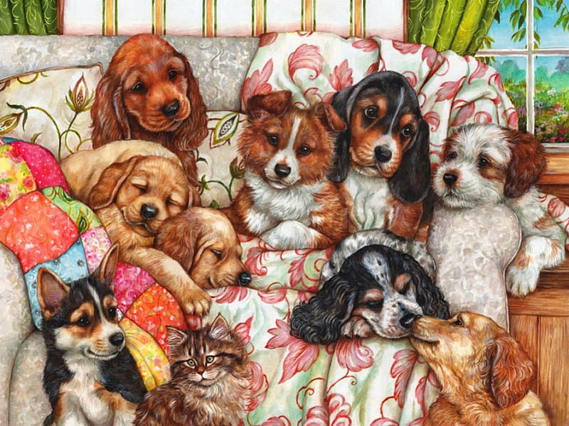 Before afternoon nap, bonito, adorable, blanket, sweet, afternoon, puppies, lazy, painting, room, morning, friends, comfortable, art, cozy, window, nap, sleeping, cute, dogs, HD wallpaper