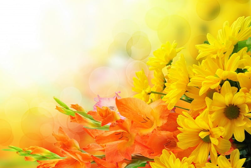 Flowers, yellow and orange, bouquet, chrysanthemums, gladiolus, HD wallpaper