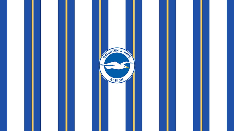 Soccer, Brighton & Hove Albion F.C., HD wallpaper