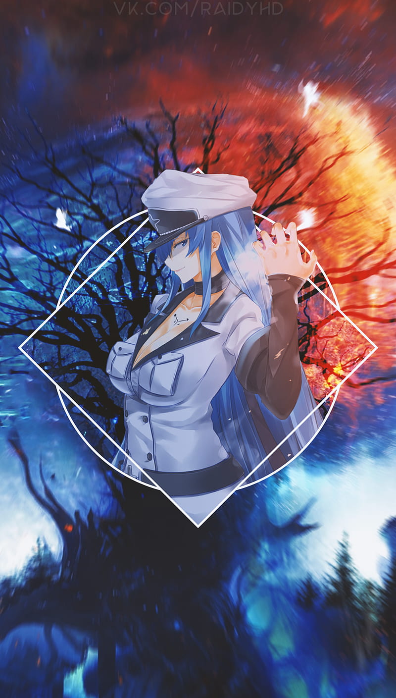 Ice Queen Esdeath❄️🌹[Akame Ga Kill] (2250x4000) : r/Animewallpaper