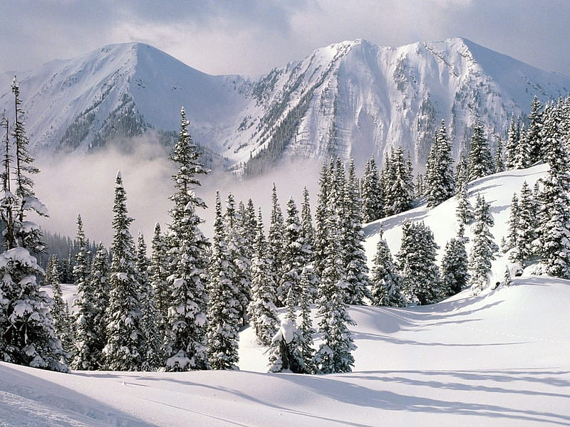 Winter Wonderland British Columbia, winter wonderland, british, columbia, HD wallpaper