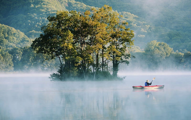 rowing on a lake in morning fog, kiak, morning, island, trees, lake, fog, rower, HD wallpaper