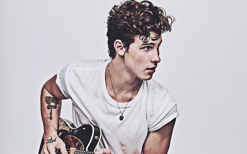 Shawn Mendes with guitar, 2020, canadian singer, music stars, Shawn Peter Raul Mendes, Shawn Mendes, canadian celebrity, Shawn Mendes hoot, HD wallpaper