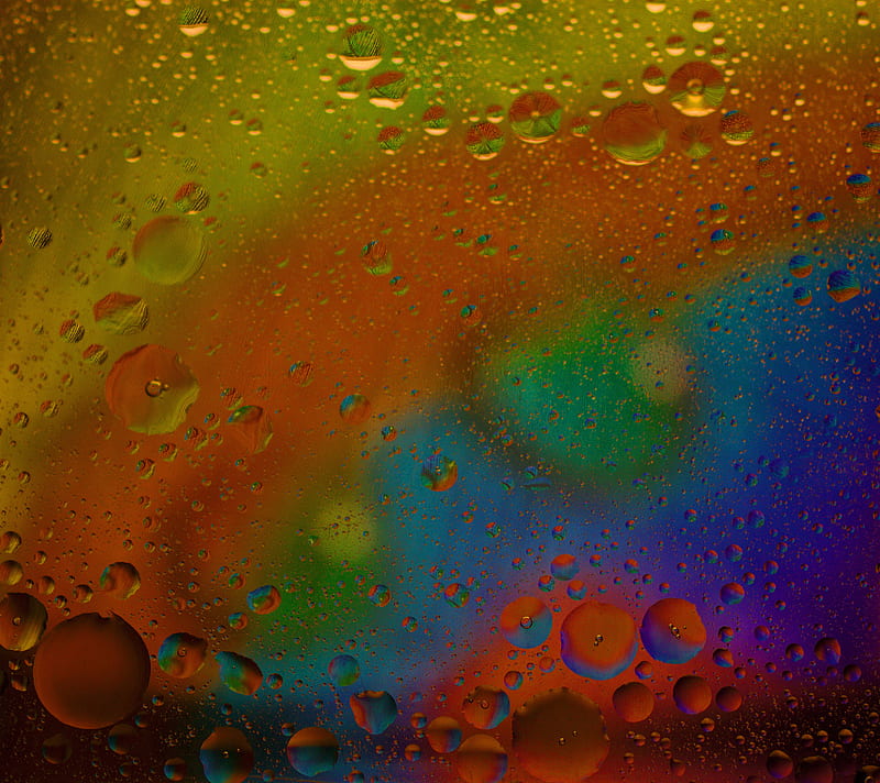 Colorful water, arts, color, colour, drops, macro, oil, peacock, water, HD wallpaper