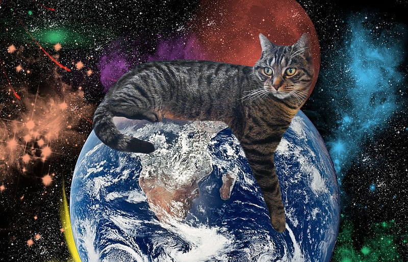 Cats Rule The World, world, universe, space, tabby, cat, HD wallpaper