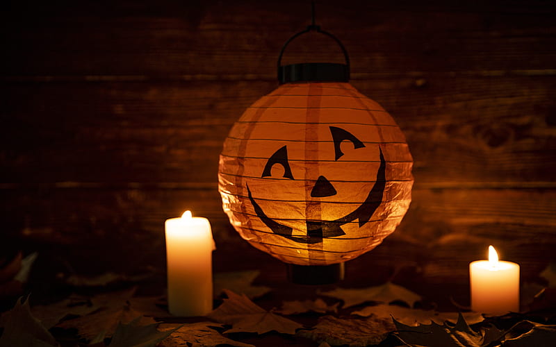 Halloween 2019 Festivals Pumpkin Lantern Night, HD wallpaper