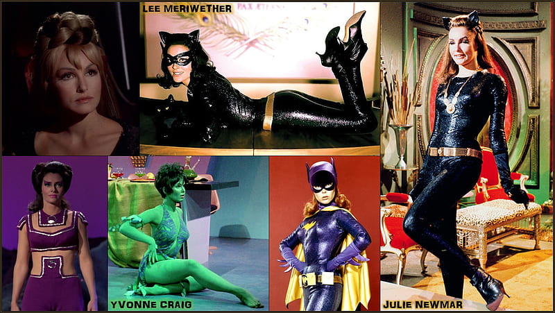 Two Cats and a Bat, Yvonne Craig, Julie Newmar, Lee Meriwether, Catwoman, Bat Girl, Batman TV Series, HD wallpaper