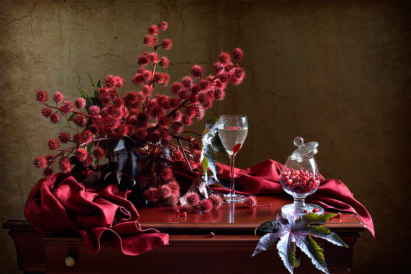 graphy, Still Life, Berry, Bouquet, Cranberry, Glass, Table, HD wallpaper