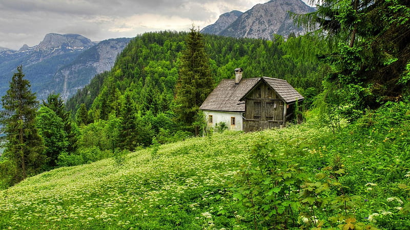 home on a green mountain slope r, house, green, mountains, slope, r, trees, HD wallpaper
