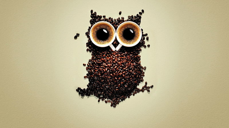 Coffee Beans Owl Art, coffee, beans, owl, artist, digital-art, HD wallpaper