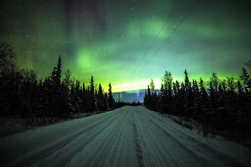 Northern Lights, snow, road, sky, firs, winter, HD wallpaper