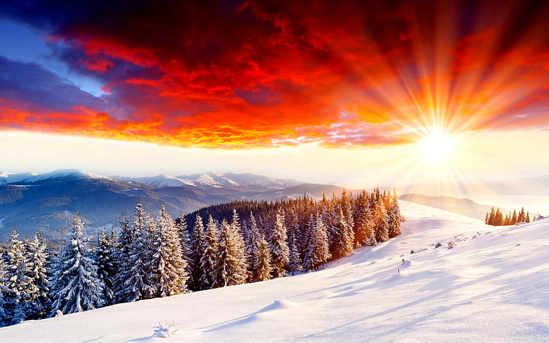Winter Valley, sun, sunset, bushes, snowy, firs, sundown, nice, gold, multicolor, mounts, bright, paisage, sunbeam, hills, brightness, winter, sunrays, snow, mountains, white, red, ambar, bonito, seasons, cold, leaves, amber, fields, scenery, blue, horizon, maroon, paisagem, icy, branches, scene, orange, yellow, clouds, cenario, lightness, scenario, shadows, beauty, sunrise, paysage, cena, golden, trees, pines, sky, panorama, clumps, cool, awesome, ice, sunshine, landscape, colorful, brown, gray, sunny, trunks, valley, snowy field, light, amazing, multi-coloured, colors, leaf, plants, colours, frozen, HD wallpaper
