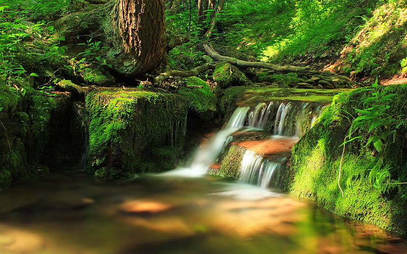 Nature Forest Waterfall 2020 High Quality, HD wallpaper