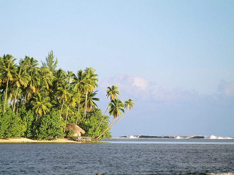 Tahiti, water, beaches, pacific ocean, waves, palm trees, blue, HD ...